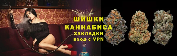 индика Краснослободск