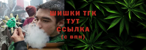 индика Краснослободск