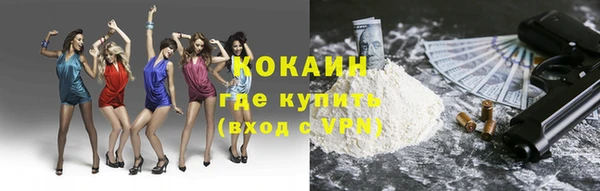 индика Краснослободск