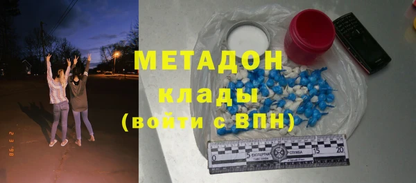 индика Краснослободск