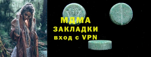индика Краснослободск