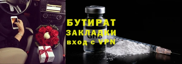 индика Краснослободск