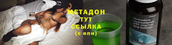 индика Краснослободск