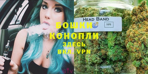 индика Краснослободск