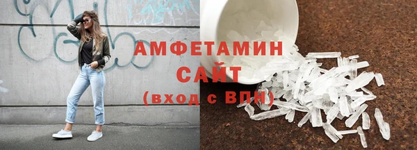 индика Краснослободск