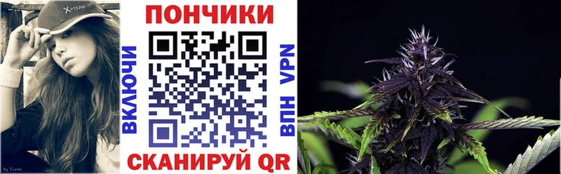 Каннабис Amnesia  магазин продажи наркотиков  Медвежьегорск 