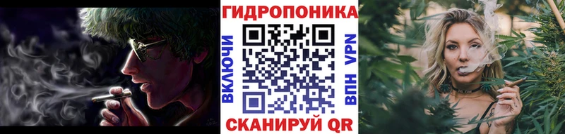 Канабис сатива Медвежьегорск